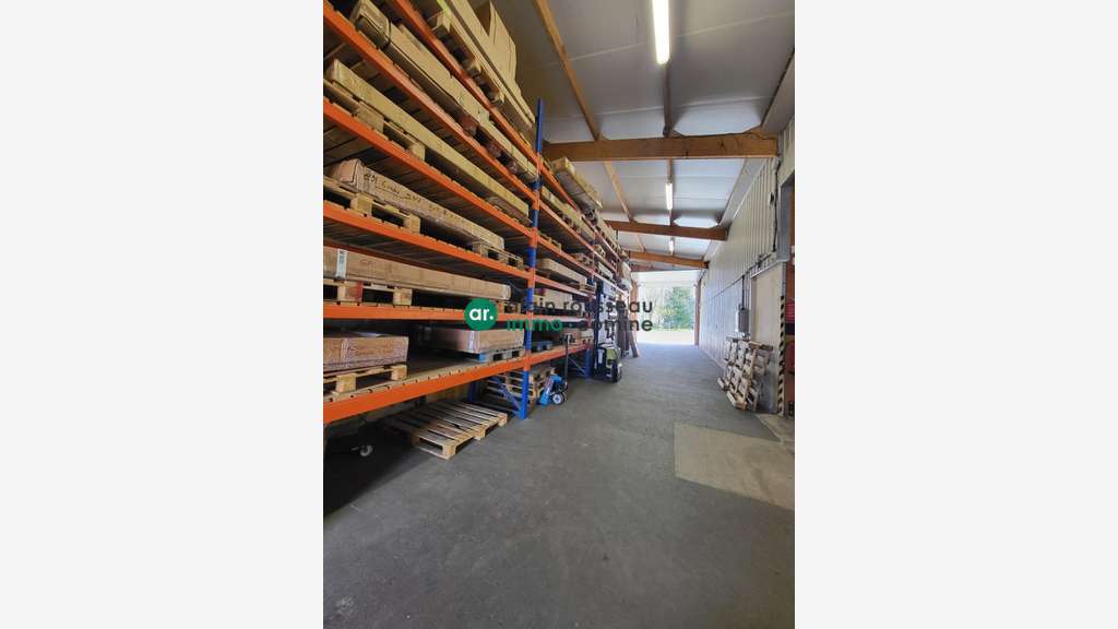 A vendre local d'activité de 600m² à Ecouflant