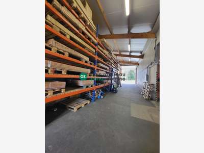 A vendre local d'activité de 600m² à Ecouflant