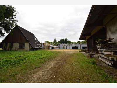 A vendre locaux d'activité 2600m² sur Gallardon