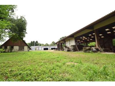 Vente Locaux d'activités - Entrepôts à Gallardon