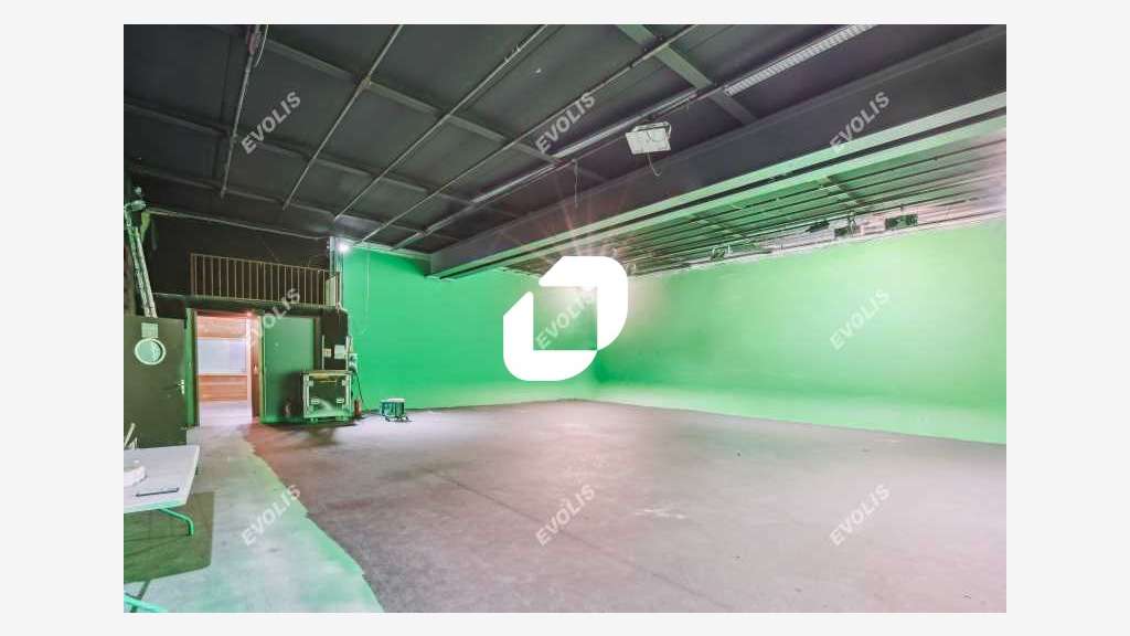 Vente Local d'activité 4193m² Ivry sur seine