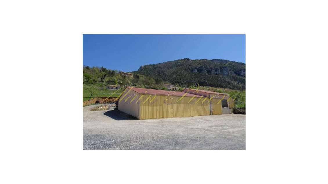 Vente local industriel hangar 600m² à La Cresse