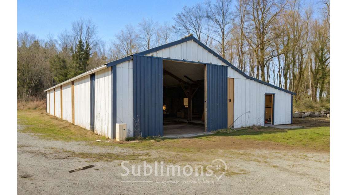 Local exceptionnel à vendre La Croix-Helléan