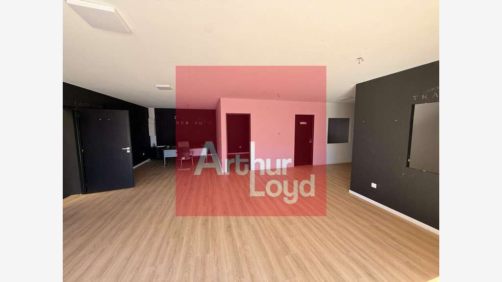 Vente local d'activité 550m² avec logement Layrac