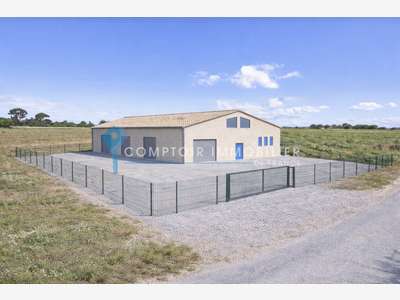 Vente hangar professionnel neuf de 280m² au Cailar