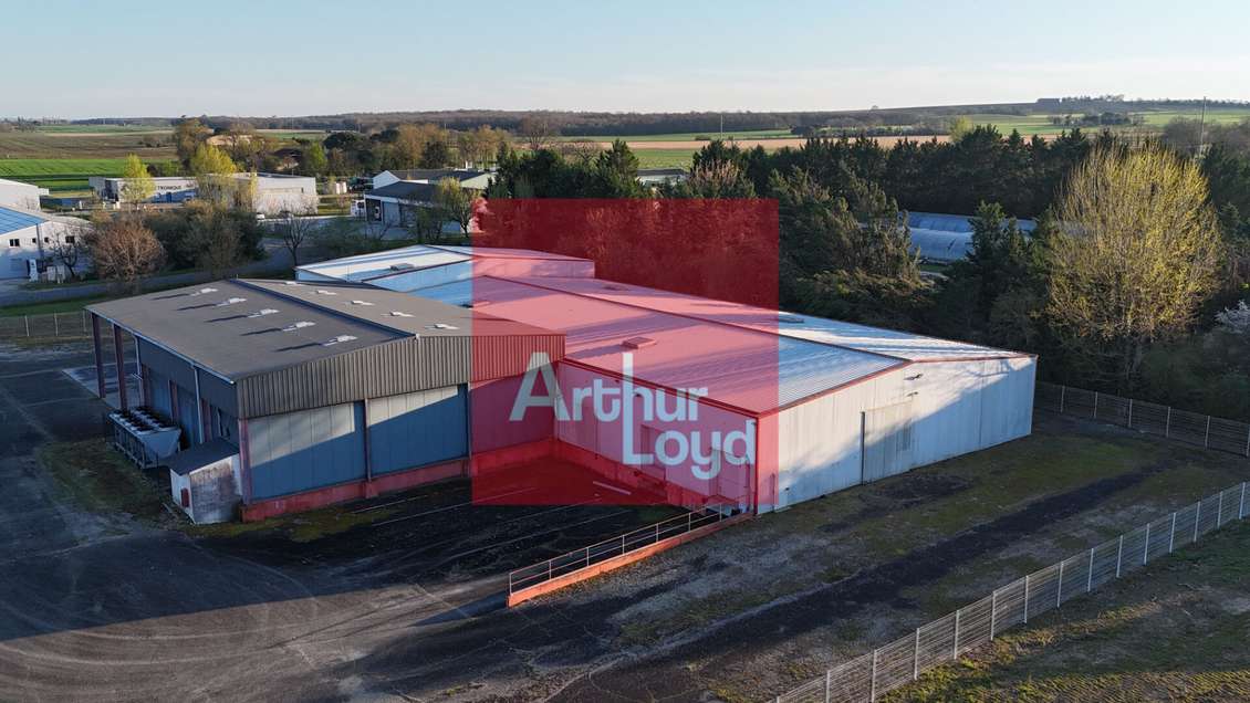 Local d'activité frigorifique à vendre avec quais 