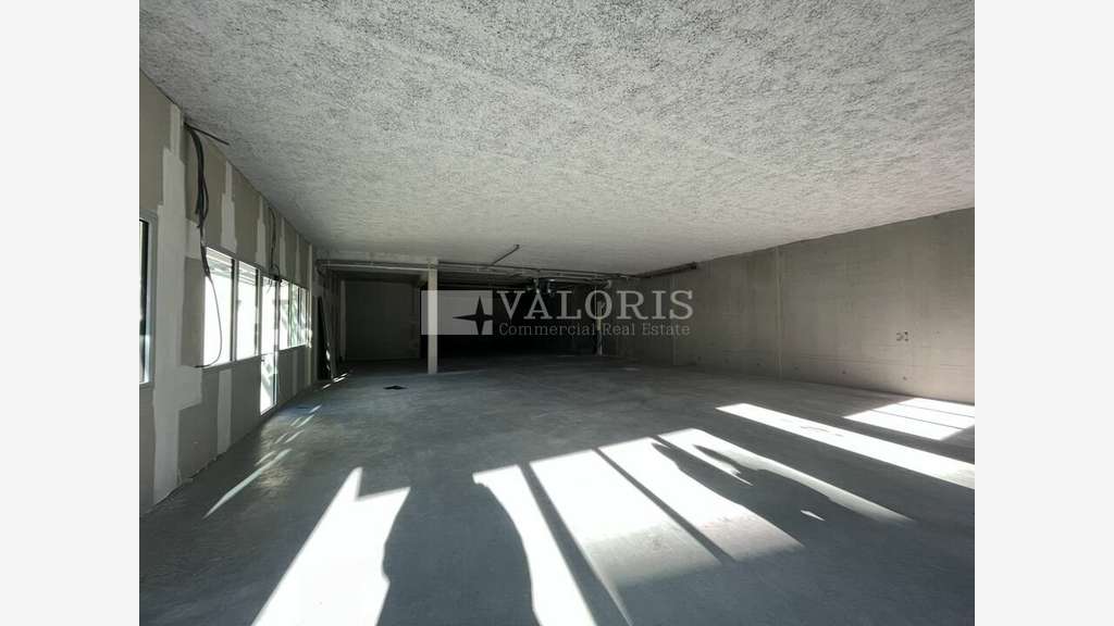 Cellule neuve 287m² à vendre à Lissieu
