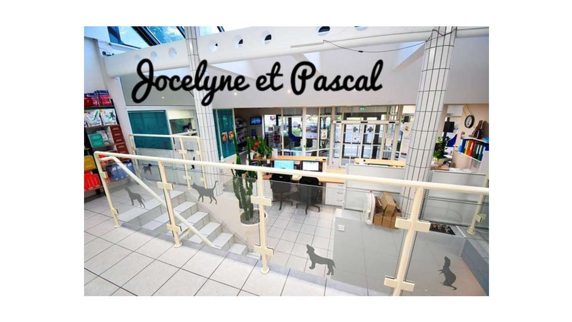 Clinique vétérinaire de 300m² sur 1194m² à Longwy
