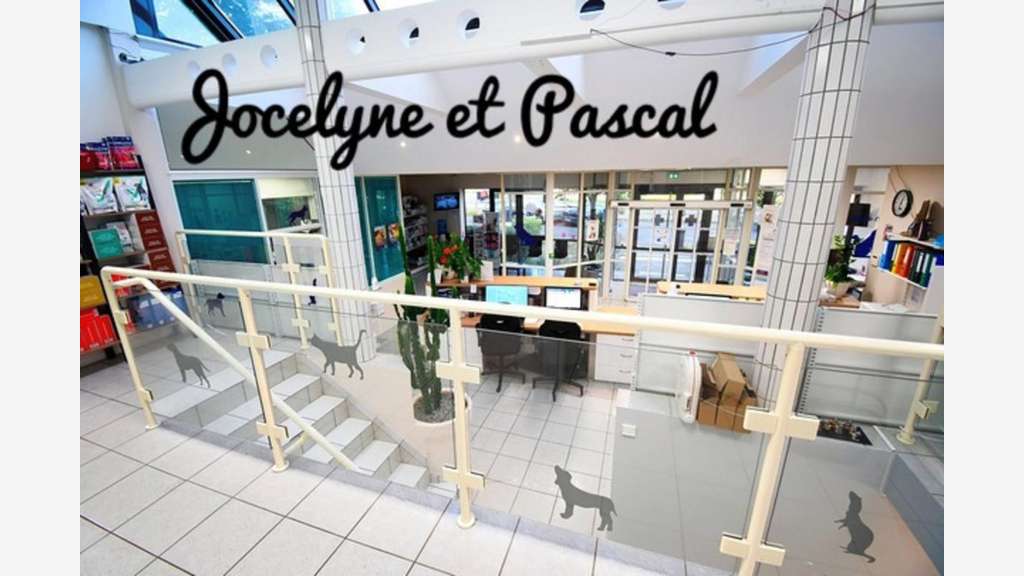 Clinique vétérinaire de 300m² sur 1194m² à Longwy
