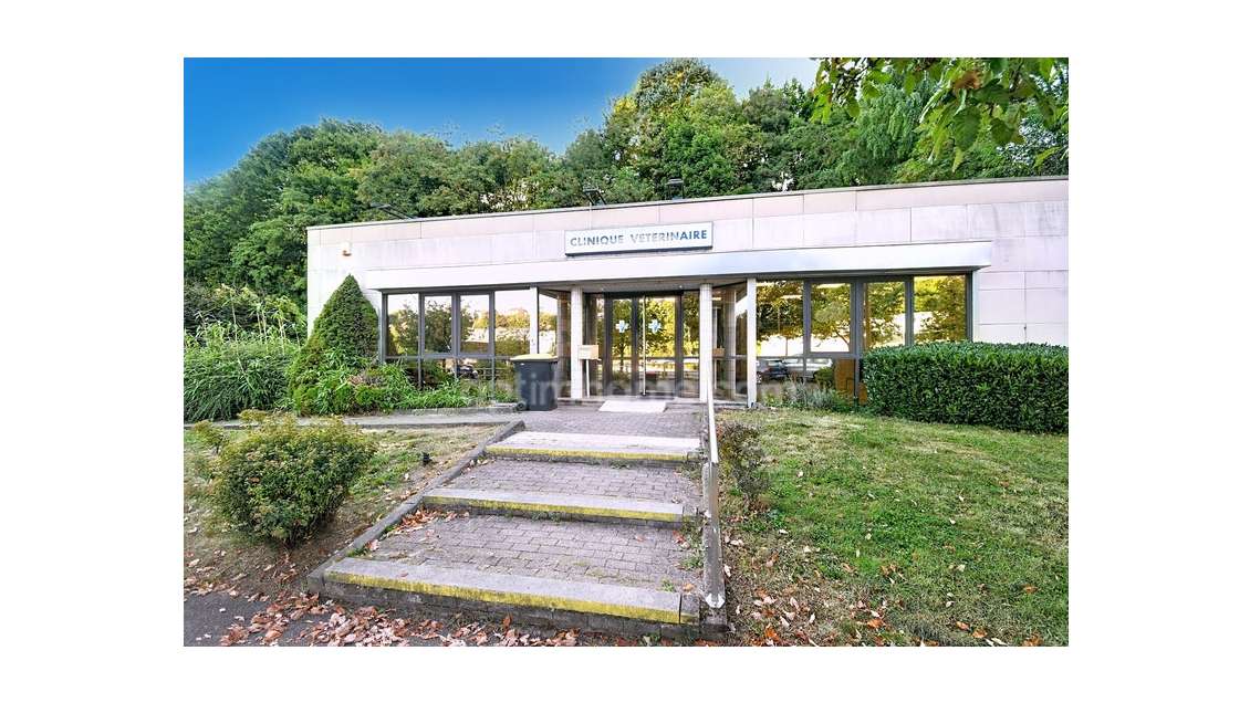 Clinique vétérinaire de 300m² sur 1194m² à Longwy