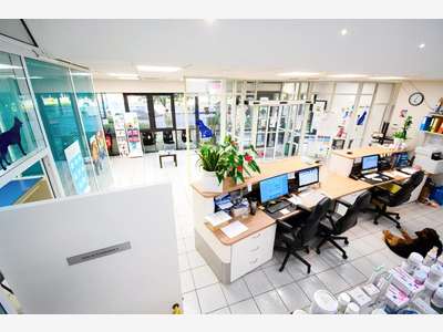 Clinique vétérinaire de 300m² sur 1194m² à Longwy