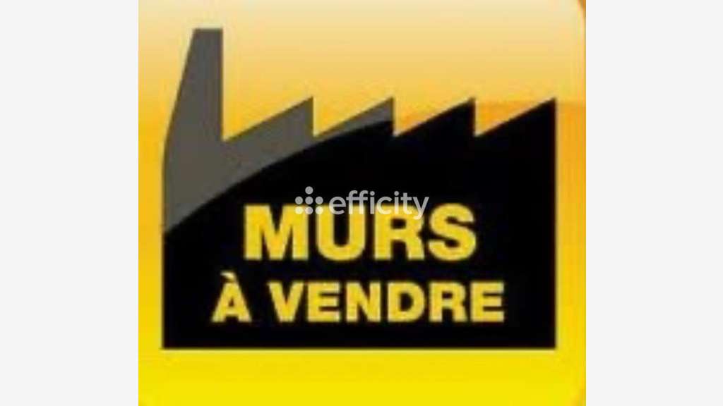 Local d'activité