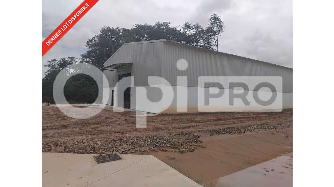 AV dépôt 381m² sur terrain clos à Matoury aéroport