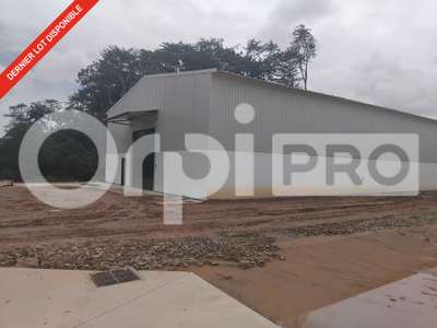 AV dépôt 381m² sur terrain clos à Matoury aéroport