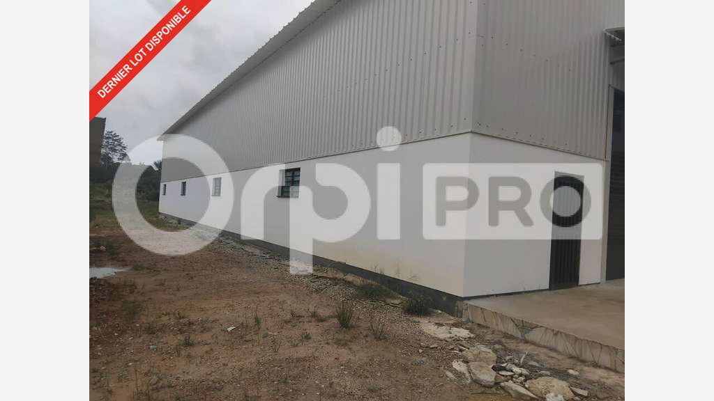 AV dépôt 381m² sur terrain clos à Matoury aéroport