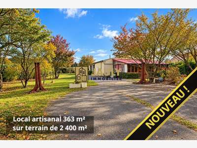 Local artisanal & logement 2415m² de terrain Meaux