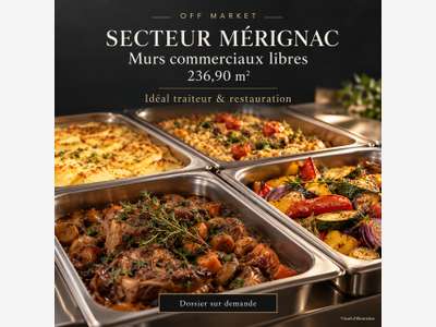 MÉRIGNAC MURS COMMERCIAUX LIBRES 236,90 M² E