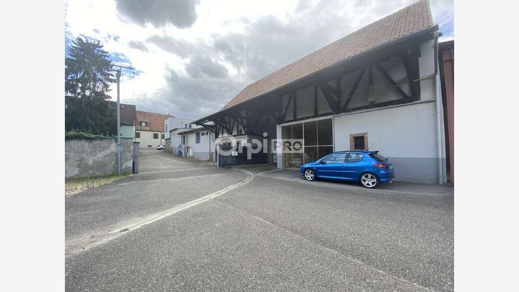 AV local d'activité 2200m² Mittelwihr cep d'Alsace