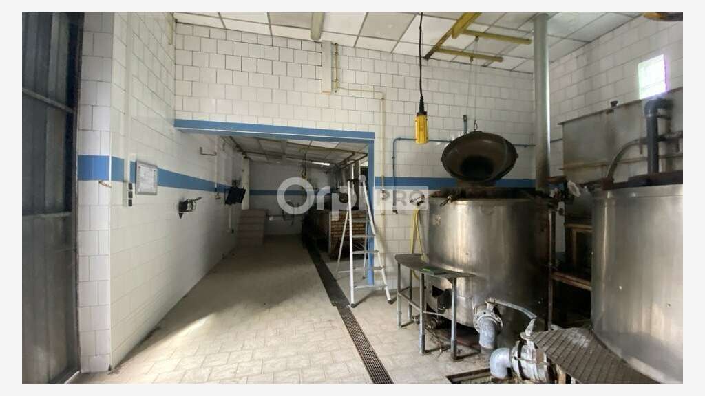 AV local d'activité 2200m² Mittelwihr cep d'Alsace
