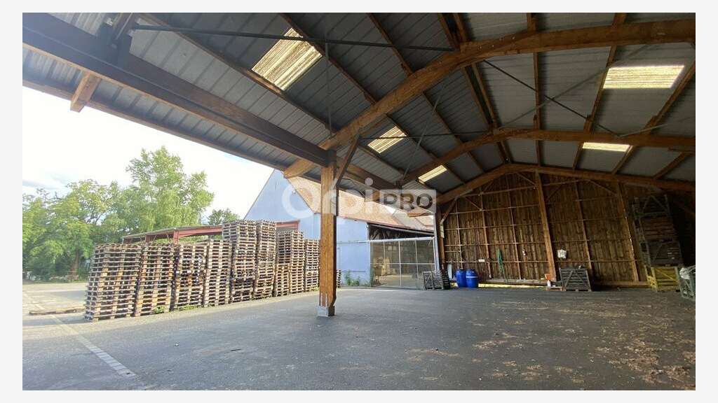 AV local d'activité 2200m² Mittelwihr cep d'Alsace