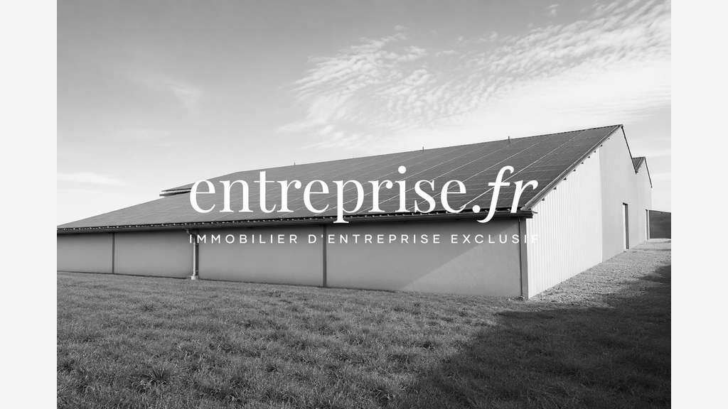 Immobilier Professionnel à vendre Montreuil-Bellay