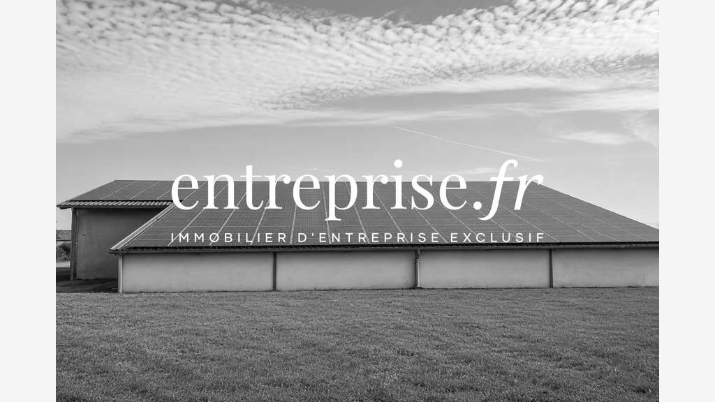 Immobilier Professionnel à vendre Montreuil-Bellay