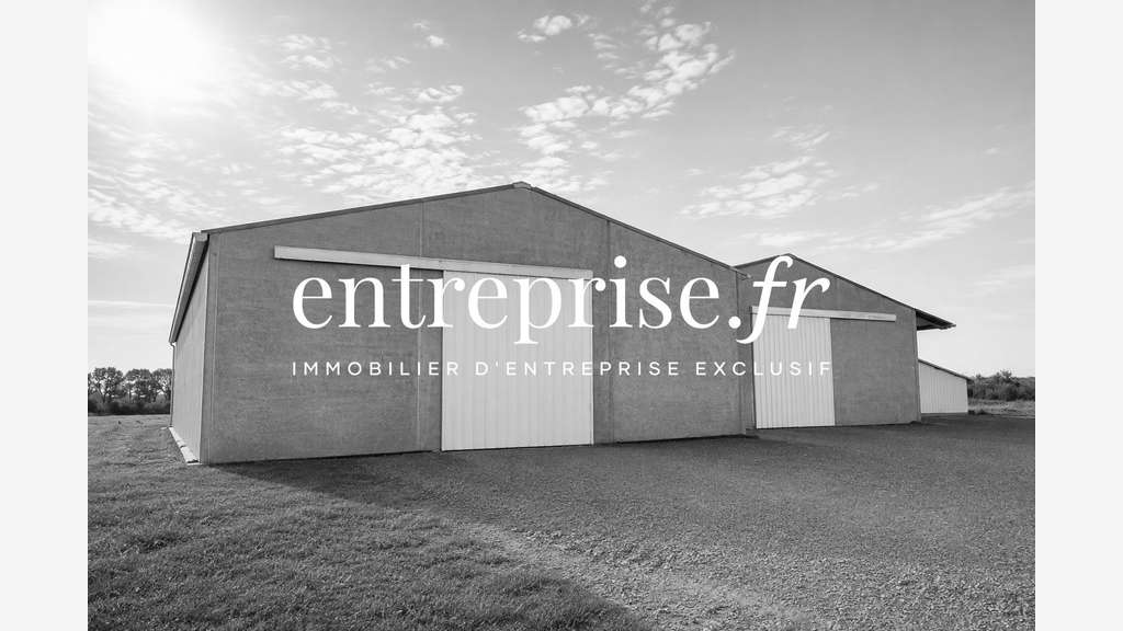 Immobilier Professionnel à vendre Montreuil-Bellay