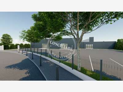 AV entrepôt 505m² à Muret accès routiers directs
