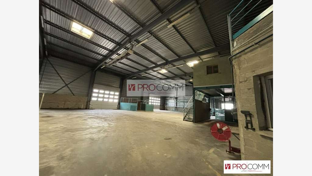 Vente bâtiment industriel 1065m² à Nogent-le-Phaye