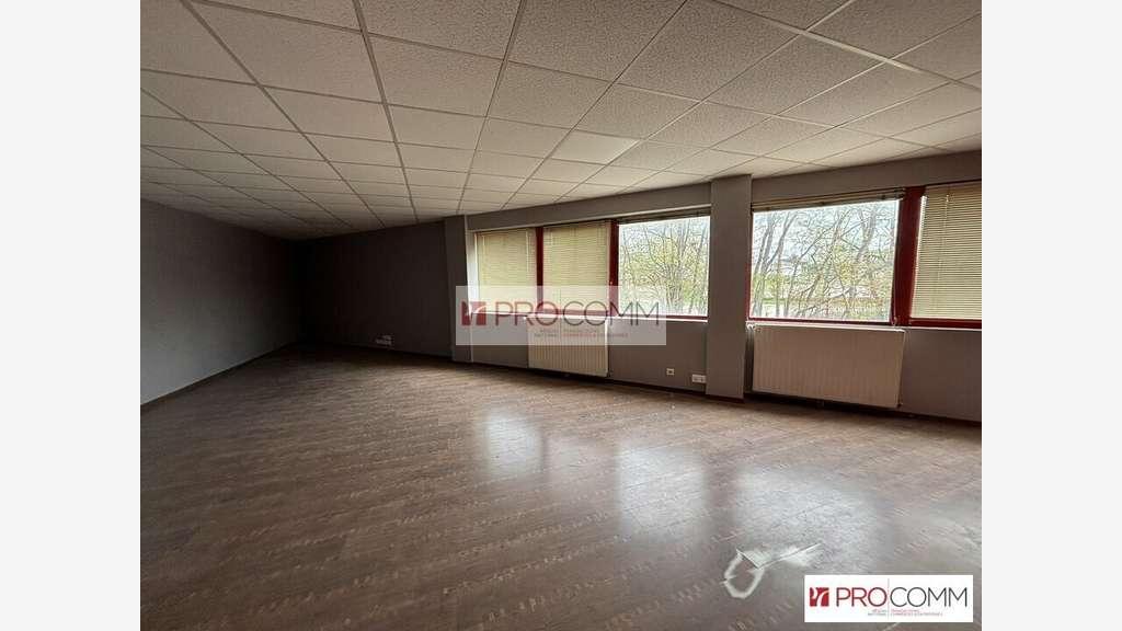 Vente bâtiment industriel 1065m² à Nogent-le-Phaye