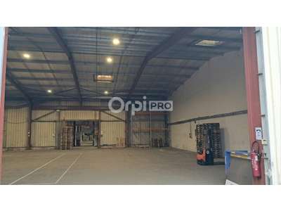 Vente Locaux d'activités - Entrepôts à Oloron-Sainte-Marie