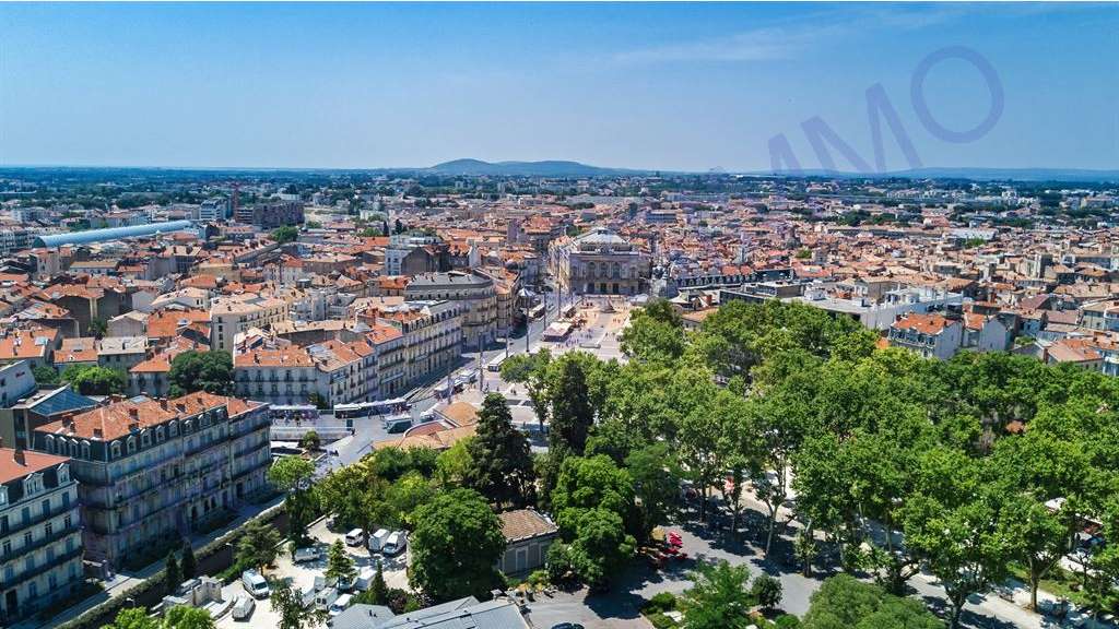 Vente murs commerciaux occupés Sud de la France