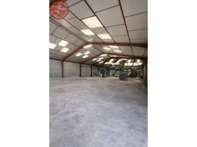 Vente Locaux d'activités - Entrepôts à Pins-Justaret