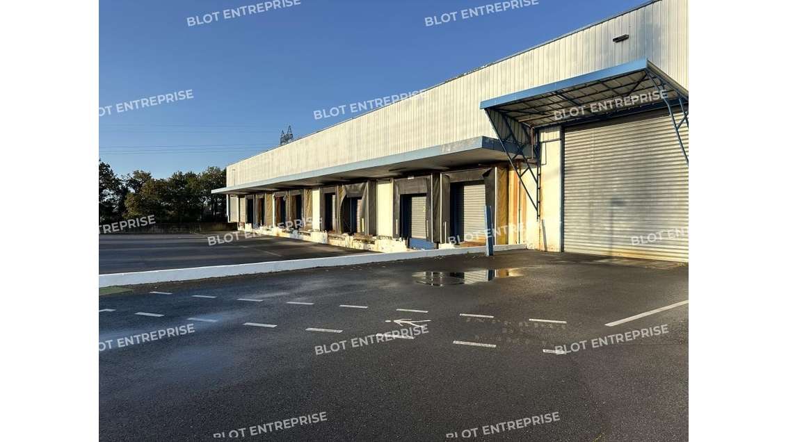 Vente Les informations sur les risques naturels,