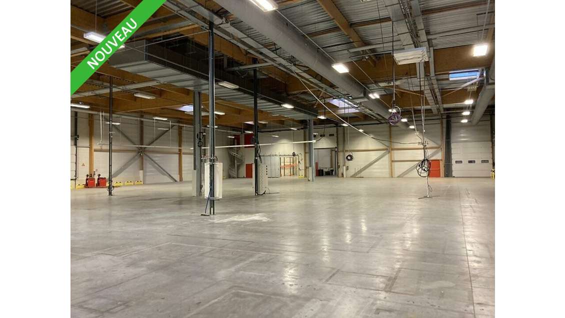 Entrepôt logistique 3645m² à vendre à Porcelette