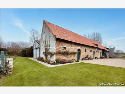 Immobilier Professionnel à vendre Quaëdypre