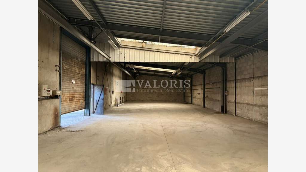 RILLIEUX LA PAPE - ENTREPOT - LOGISTIQUE à vendre