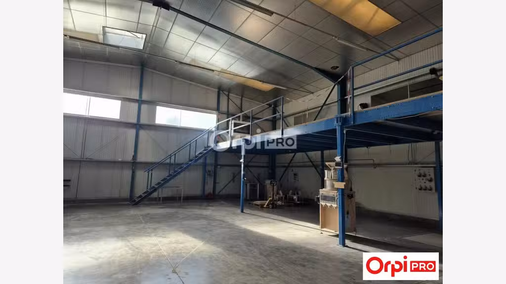 Local d'activité de 2000m² à vendre à Saint Doant