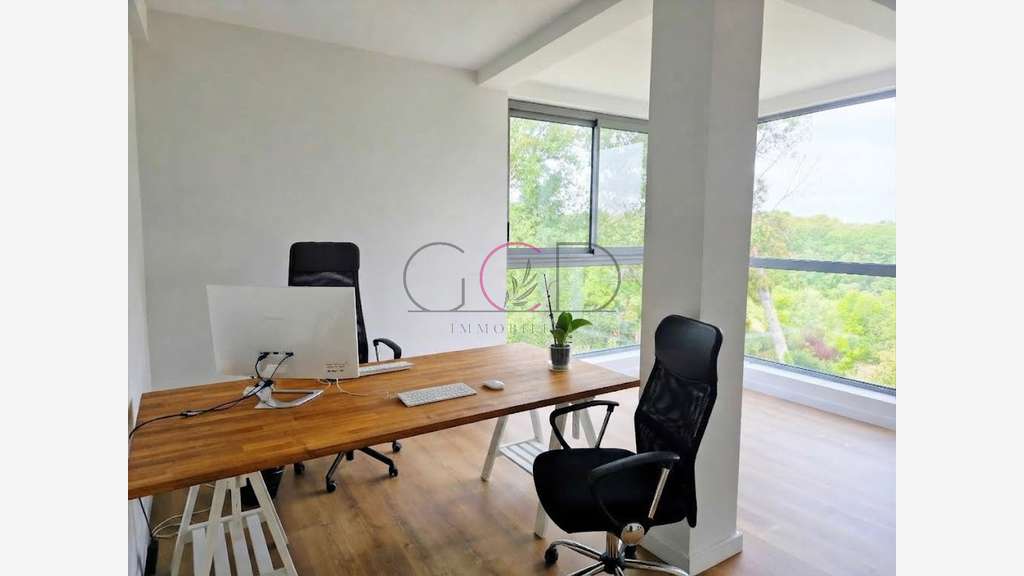 Exceptionnel Immeuble Tertiaire et Commercial R+2