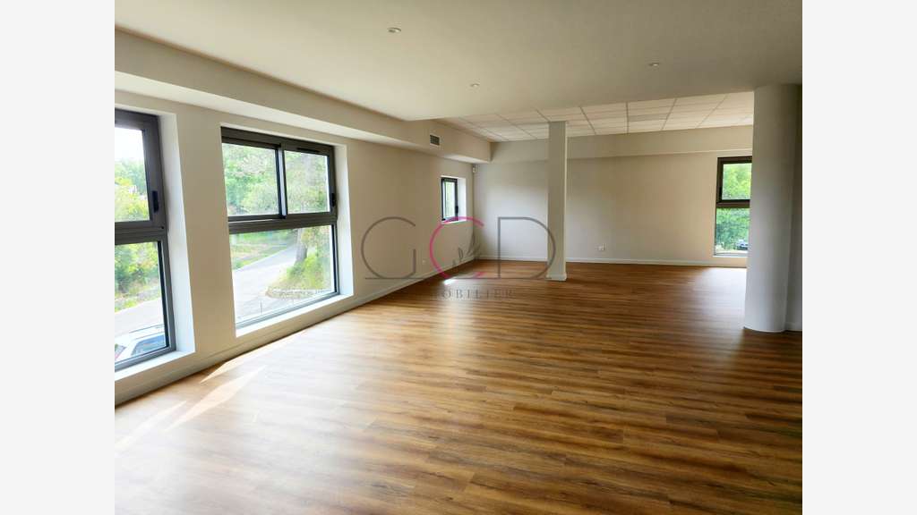 Exceptionnel Immeuble Tertiaire et Commercial R+2