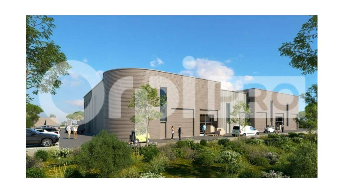 AV locaux de 246m² à 255m² ZA du Mijoulan