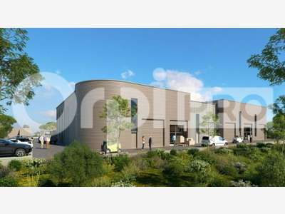 AV locaux de 246m² à 255m² ZA du Mijoulan
