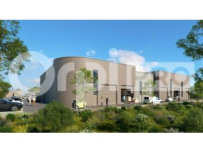 Vente Locaux d'activités - Entrepôts à Saint-Georges-d'Orques
