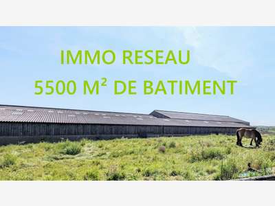 Vente bâtiments agricoles à Saint-Hilaire-de-Riez