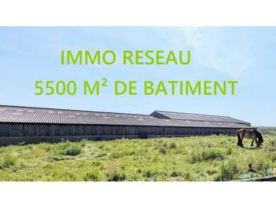 Vente Locaux d'activités - Entrepôts à Saint-Hilaire-de-Riez