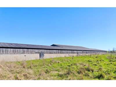 Vente Locaux d'activités - Entrepôts à Saint-Hilaire-de-Riez