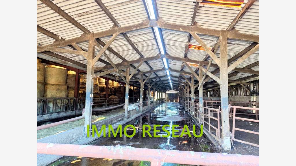 Vente 3 bâtiments agricoles à St Hilaire de Riez