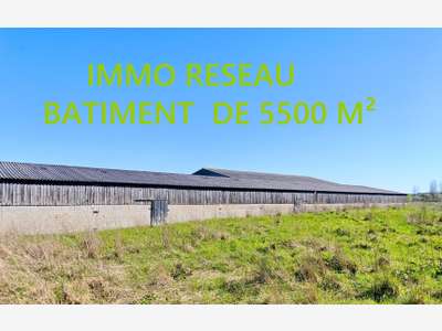 Vente 3 bâtiments agricoles à St Hilaire de Riez