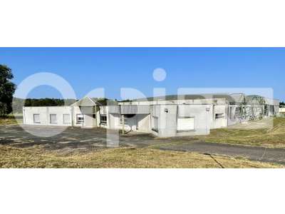 Vente Locaux d'activités - Entrepôts à Saint-Junien