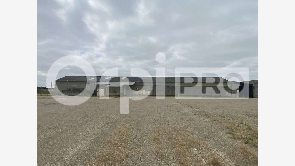 A vendre entrepôt 600m² Saint-Nicolas-de-la-Grave